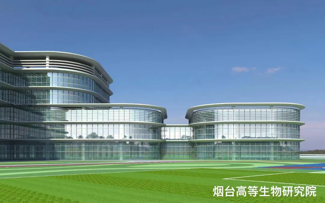 大跨度 高精度 超節能|鳳鋁助力菸臺城市更新，展登州新貌
